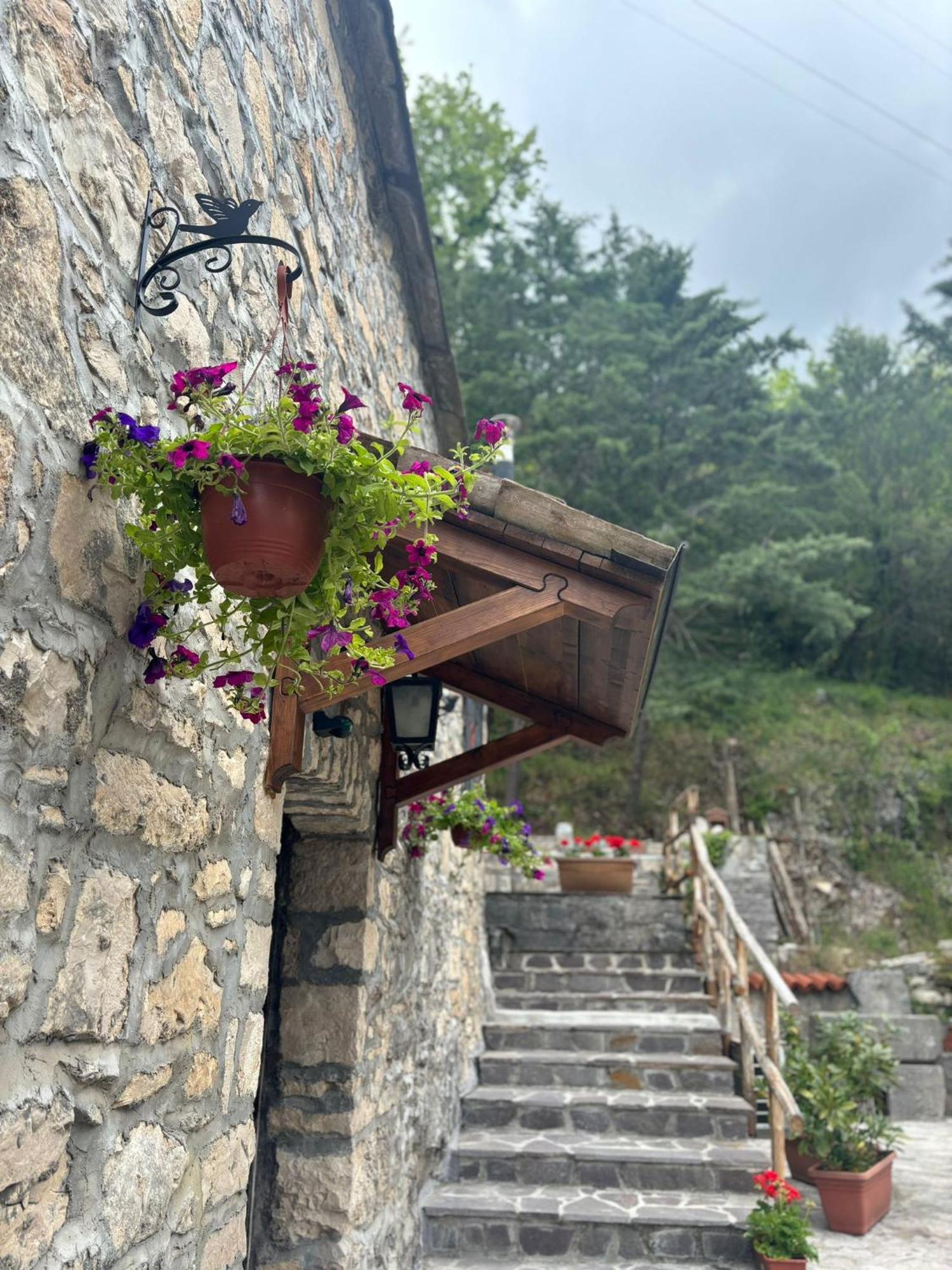 Ferienwohnung Il Caminetto Carpinone Exterior foto
