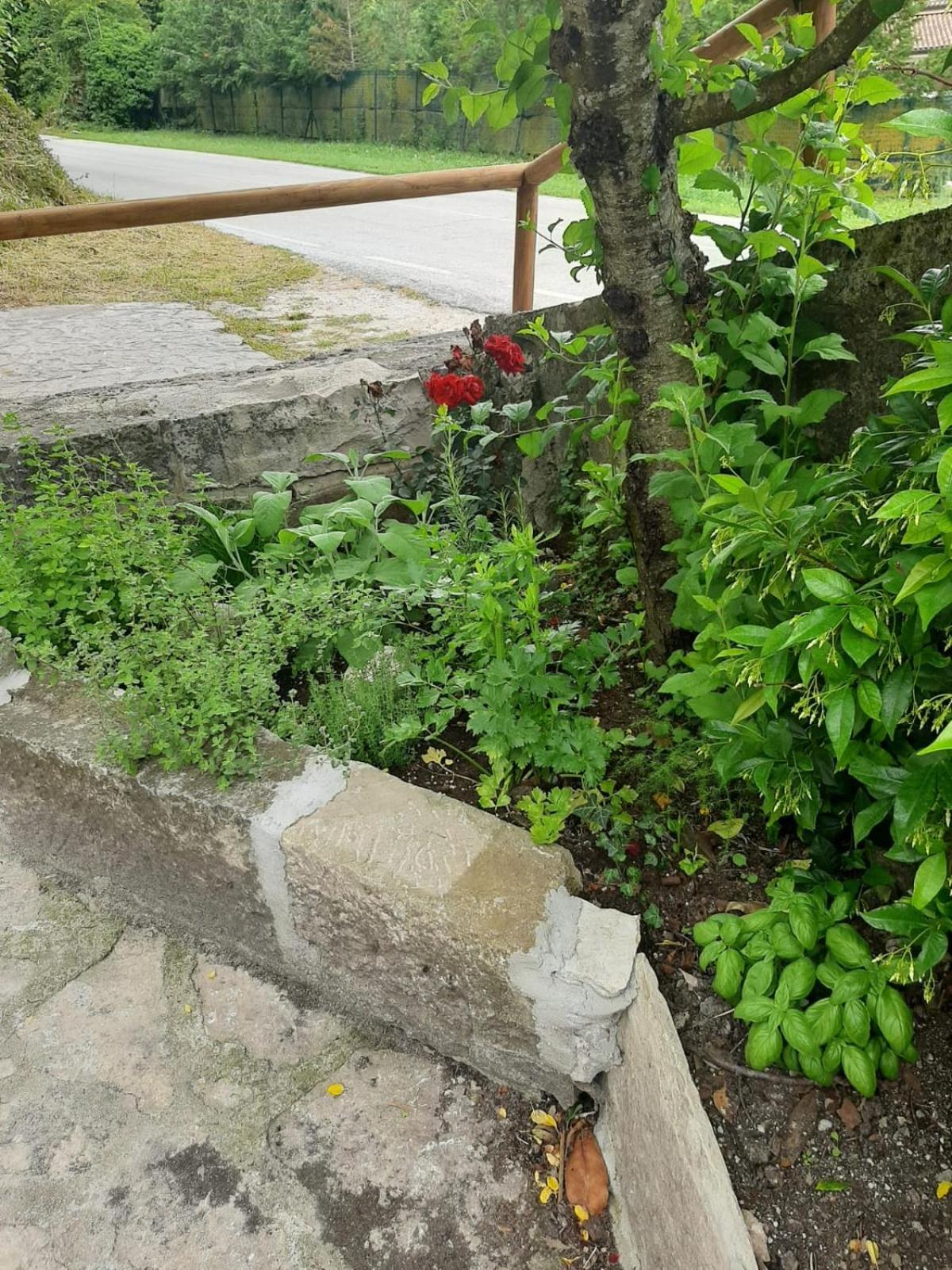 Ferienwohnung Il Caminetto Carpinone Exterior foto